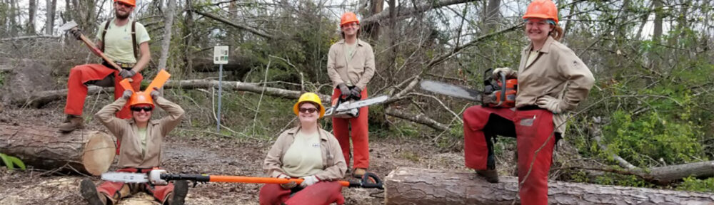 Crew holding chainsaws looking at camera